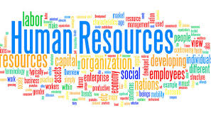 Master Human Resources: Build the Foundation of Organizational Success